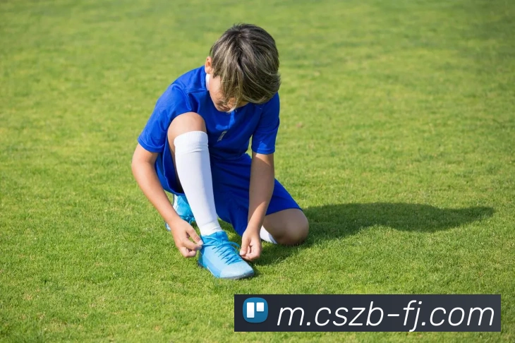 彩神争霸APP 高清赛事图